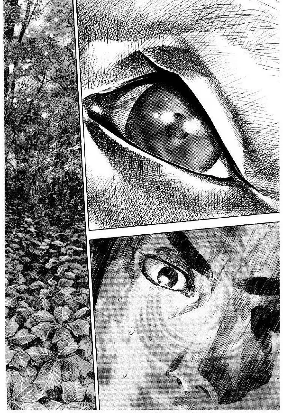 Truyện Tranh Lãng Khách - Vagabond trang 4