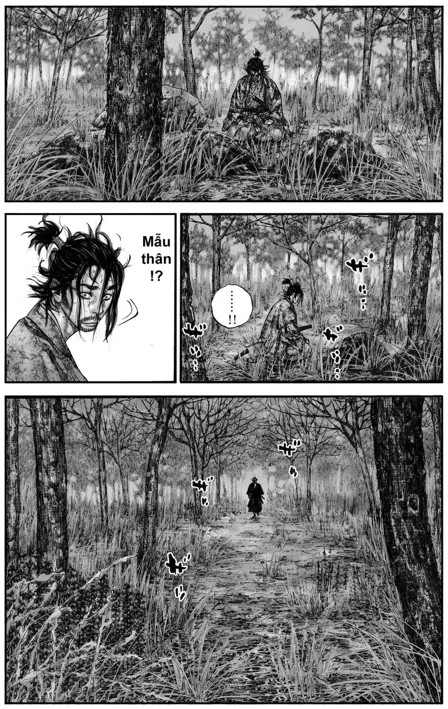 Truyện Tranh Lãng Khách - Vagabond trang 4