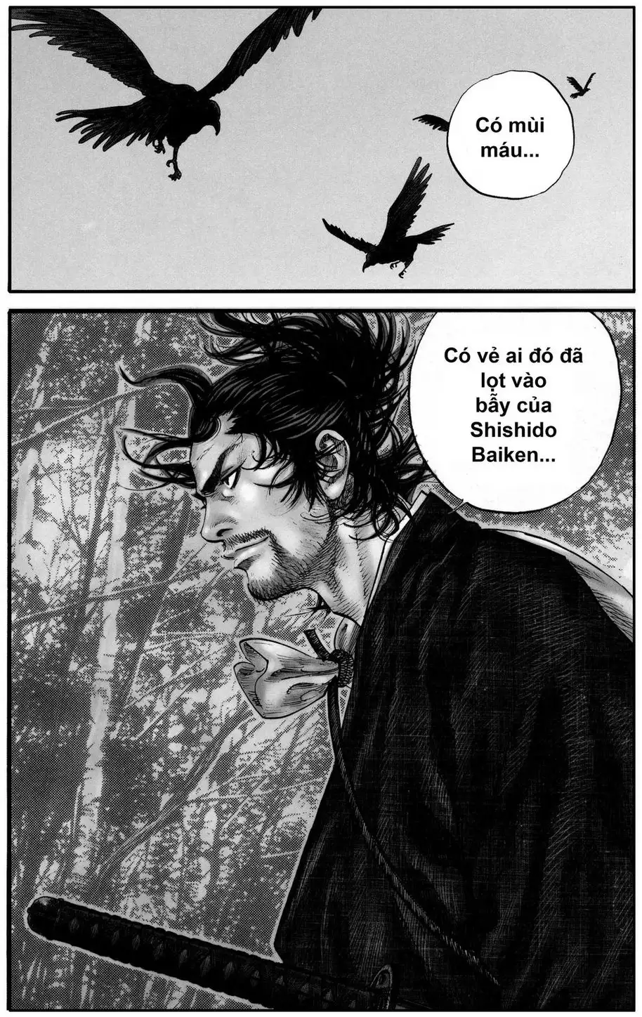 Truyện Tranh Lãng Khách - Vagabond trang 4