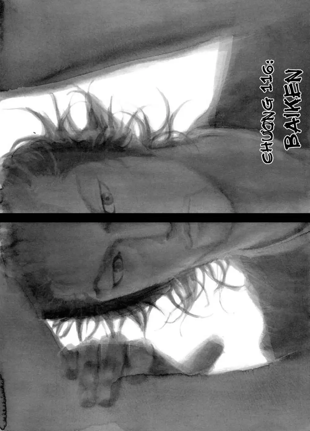 Truyện Tranh Lãng Khách - Vagabond trang 4