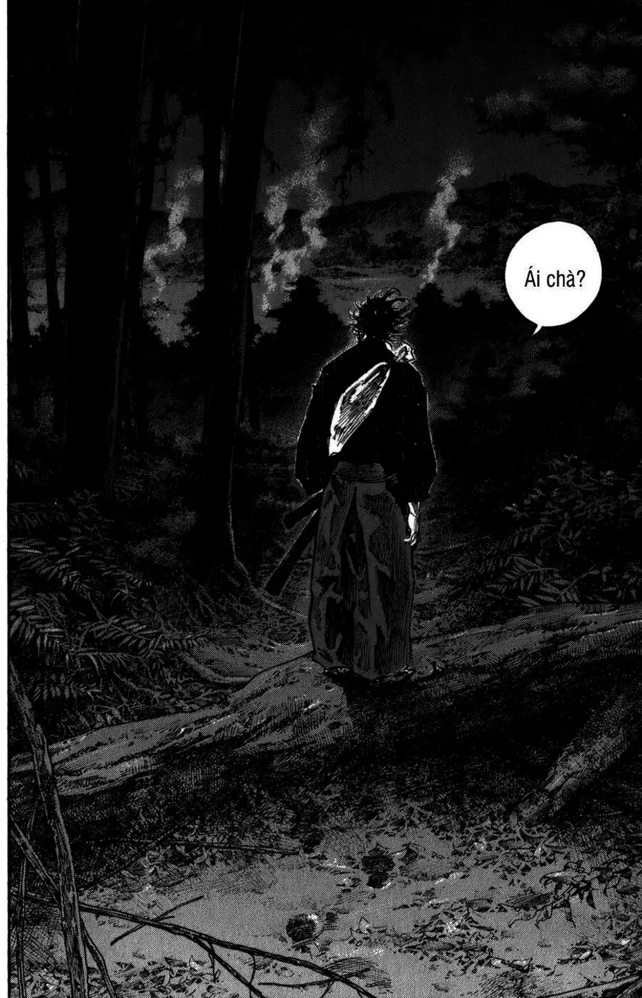 Truyện Tranh Lãng Khách - Vagabond trang 4