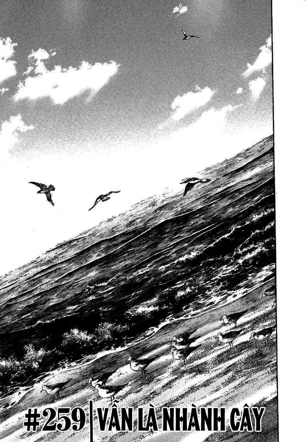 Truyện Tranh Lãng Khách - Vagabond trang 4
