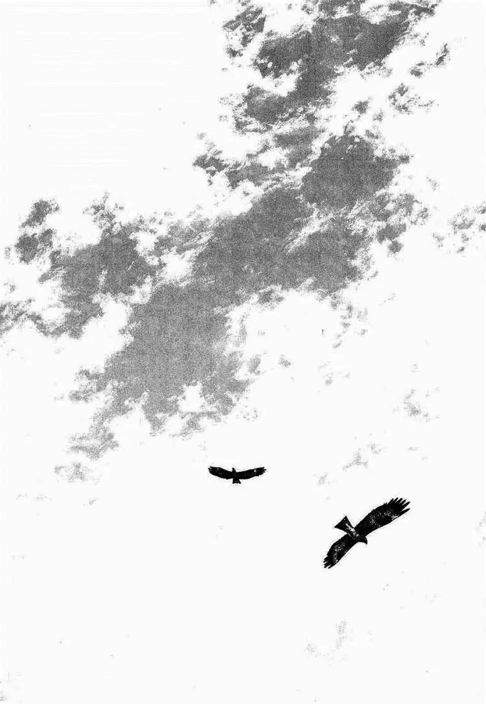 Truyện Tranh Lãng Khách - Vagabond trang 4