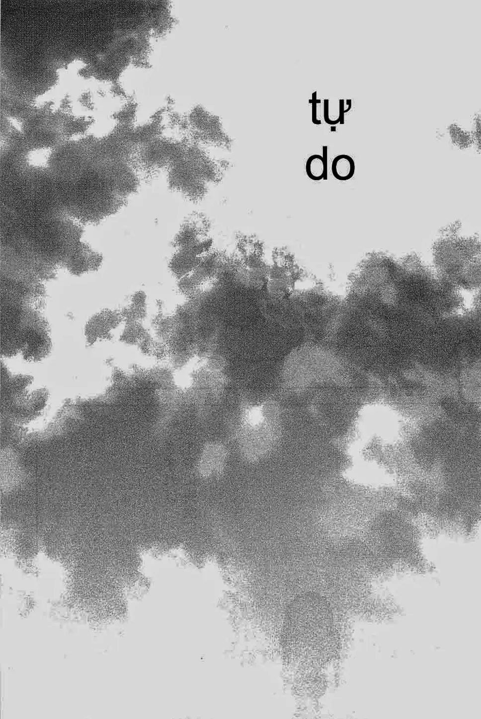 Truyện Tranh Lãng Khách - Vagabond trang 4