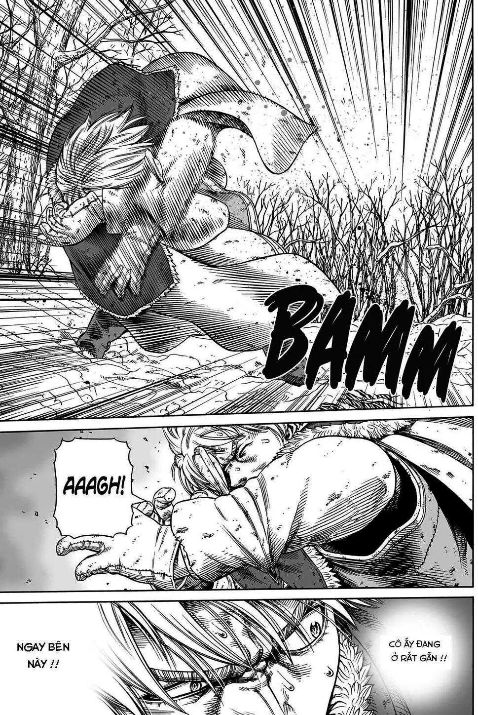 Truyện Tranh Truyền Thuyết Miền Đất Hứa - Vinland Saga trang 5