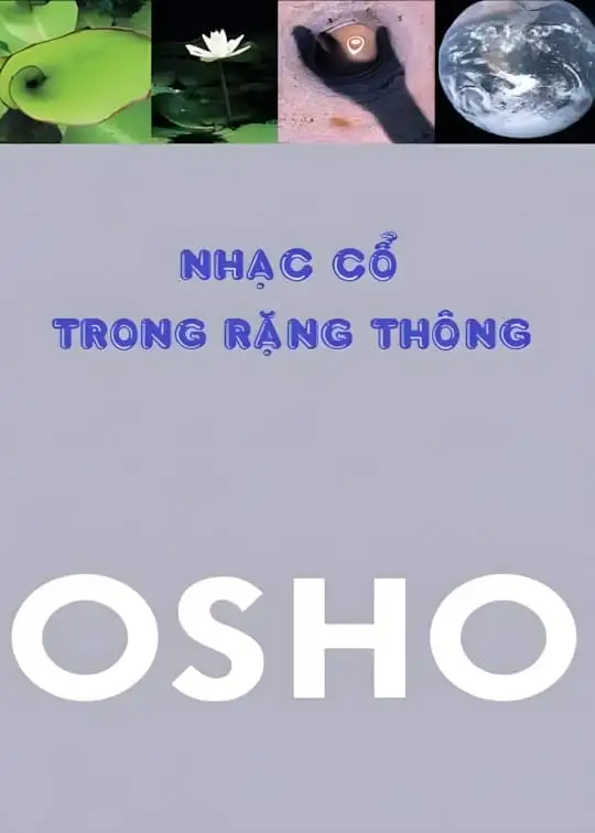Ảnh bìa sách Nhạc Cổ Trong Rặng Thông