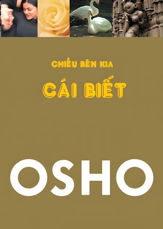 Ảnh bìa sách Chiều Bên Kia Cái Biết