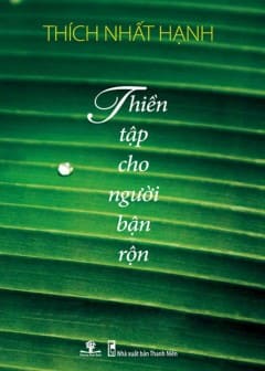 Thiền Tập Cho Người Bận Rộn