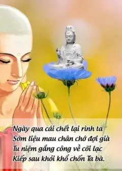 Ảnh Thời Khóa Tu Tập Thời Đức Phật