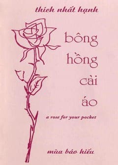 Bông Hồng Cài Áo