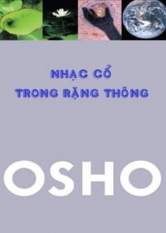 Sách Nhạc Cổ Trong Rặng Thông