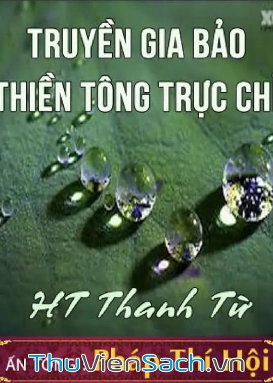 Ảnh bìa sách Thiền Tông Trực Chỉ