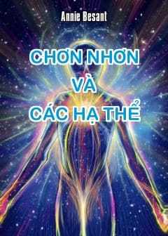 Chơn Nhơn Và Các Hạ Thể