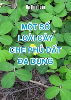 Một Số Loài Cây Che Phủ Đất Đa Dụng