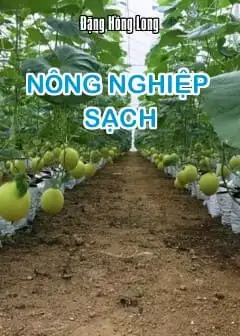 Ảnh Nông Nghiệp Sạch