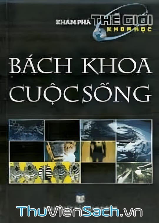 Ảnh bìa sách Bách Khoa Cuộc Sống
