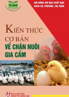 Kiến Thức Cơ Bản Về Chăn Nuôi Gia Cầm