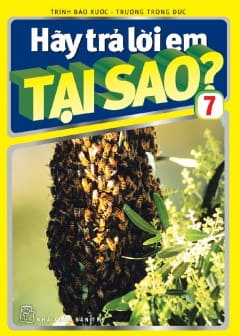 Hãy Trả Lời Em Tại Sao? - Tập 7