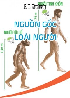 Nguồn Gốc Loài Người