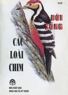 Đời Sống Của Các Loài Chim