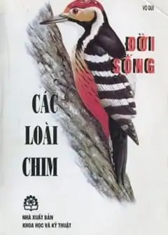 Ảnh Đời Sống Của Các Loài Chim
