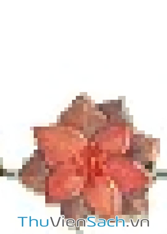 Ảnh bìa sách Mẹ Chồng Ăn Thịt Cả Nhà Nàng Dâu