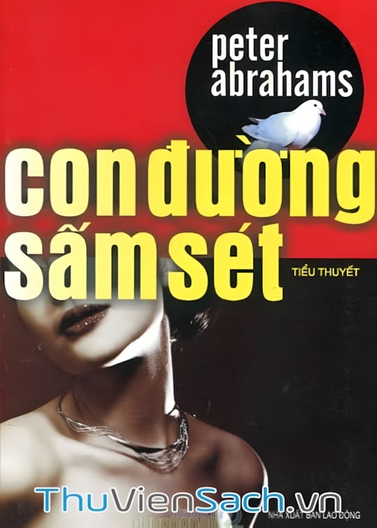 Ảnh bìa sách Con Đường Sấm Sét