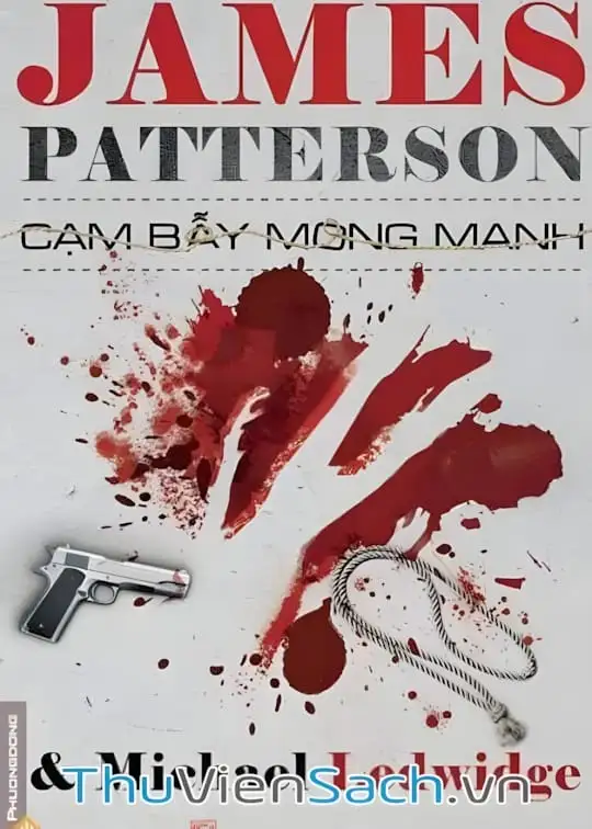 Ảnh bìa sách Cạm bẫy mong manh