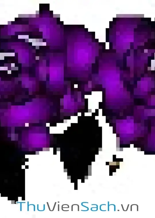 Ảnh bìa sách Cẩm chướng đỏ