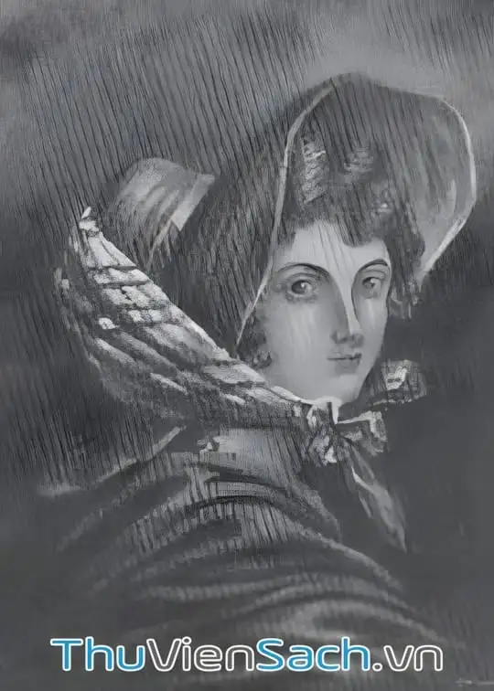 Ảnh bìa sách Đỉnh Gió Hú