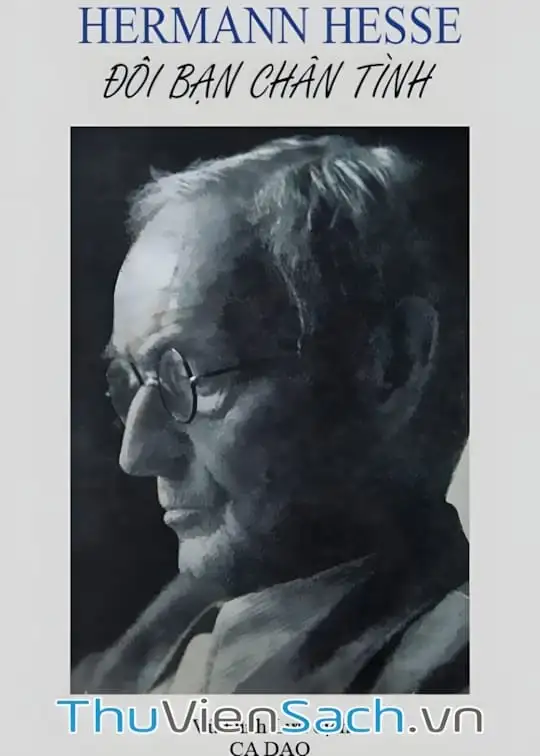 Ảnh bìa sách Đôi Bạn Chân Tình