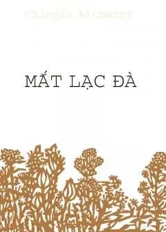 Ảnh Mắt Lạc Đà