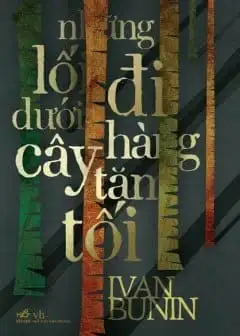 Ảnh Những Lối Đi Dưới Hàng Cây Tăm Tối