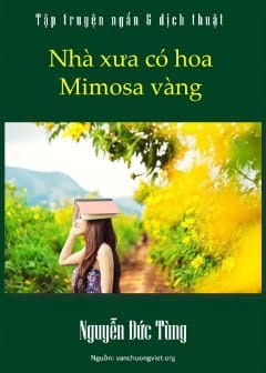 Nhà Xưa Có Hoa Mimosa Vàng