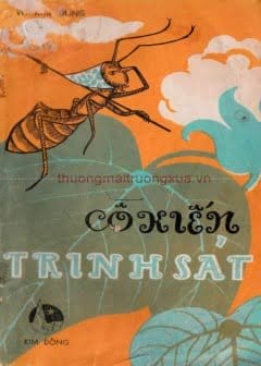 Ảnh Cô Kiến Trinh Sát