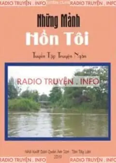 Những Mảnh Hồn Tôi