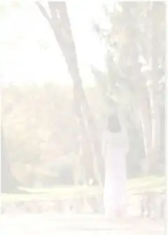 Ảnh ẢO THIÊN THANH