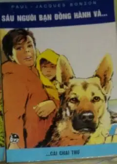 Ảnh Cái Chai Thư