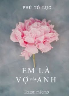 Em Là Vợ Của Anh