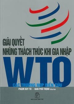 Giải Quyết Những Thách Thức Khi Gia Nhập Wto