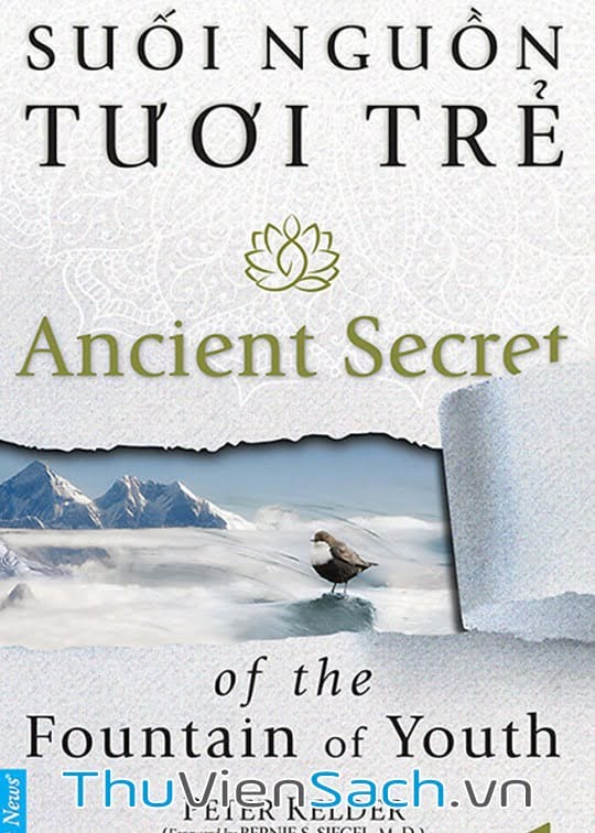 Ảnh bìa sách Suối Nguồn Tươi Trẻ