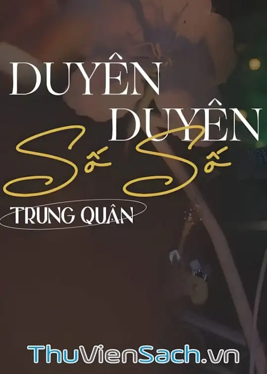 Ảnh bìa sách Duyên Duyên Số Số