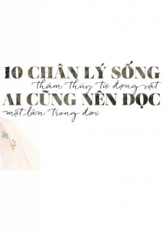 Ảnh 10 Chân Lý Sống Thâm Thúy Từ Động Vật Ai Cũng Nên Đọc Một Lần Trong Đời