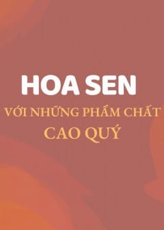Ảnh Hoa Sen Với Những Phẩm Chất Cao Quý