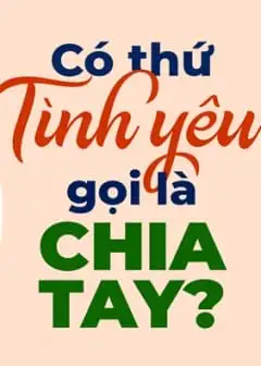 Có Thứ Tình Yêu Gọi Là Chia Tay
