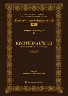 Kinh Tương Ưng Bộ - Tập 6