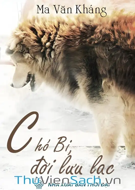 Ảnh bìa sách Chó Bi, Đời Lưu Lạc