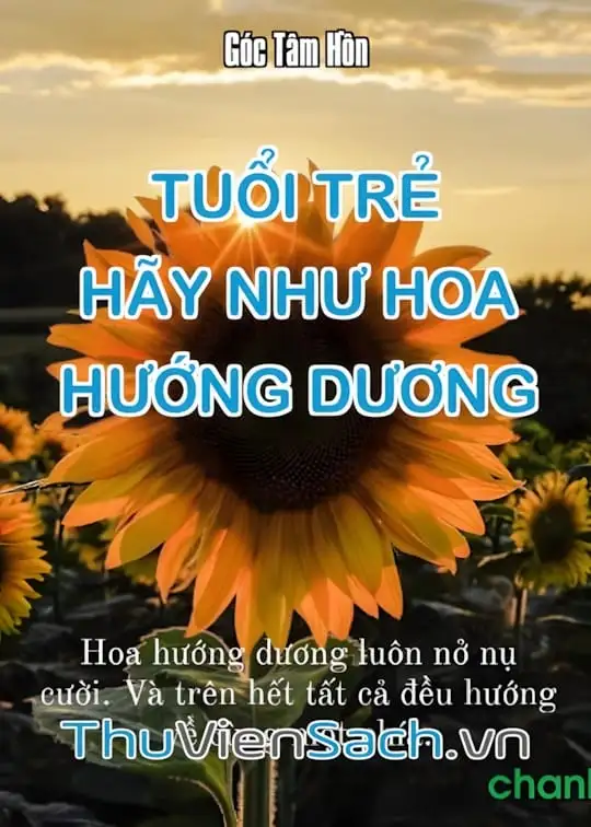 Ảnh bìa sách Tuổi Trẻ, Hãy Như Hoa Hướng Dương
