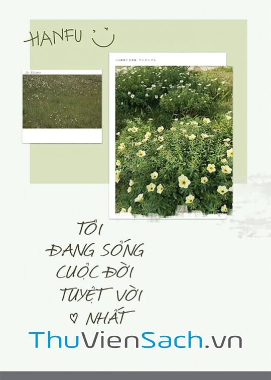 Ảnh bìa sách Tôi Đang Sống Cuộc Đời Tuyệt Vời Nhất