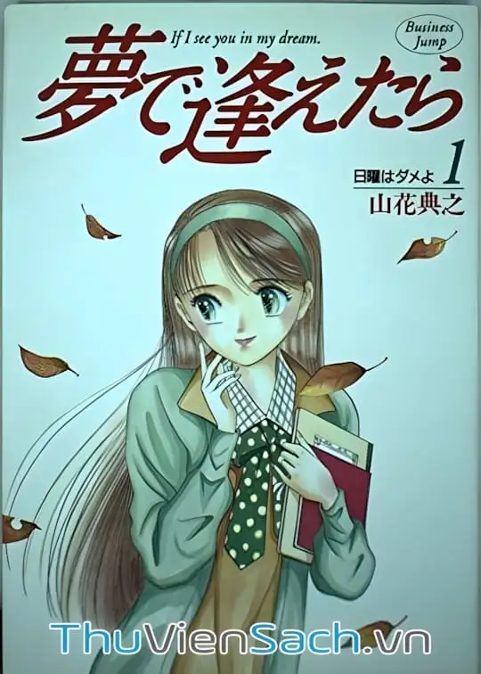 Ảnh bìa sách Nếu Có Thể Gặp Em Trong Mơ